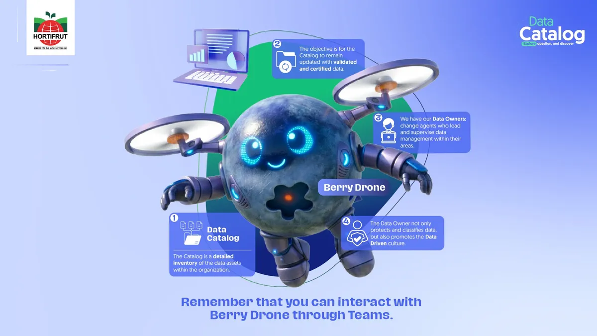Infografía del Catálogo de Datos y su asistente