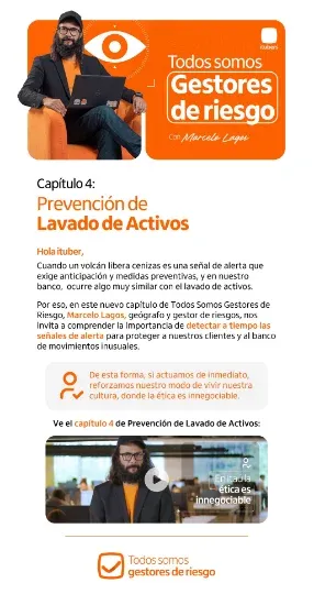 Contenido interno del capítulo sobre lavado de activos